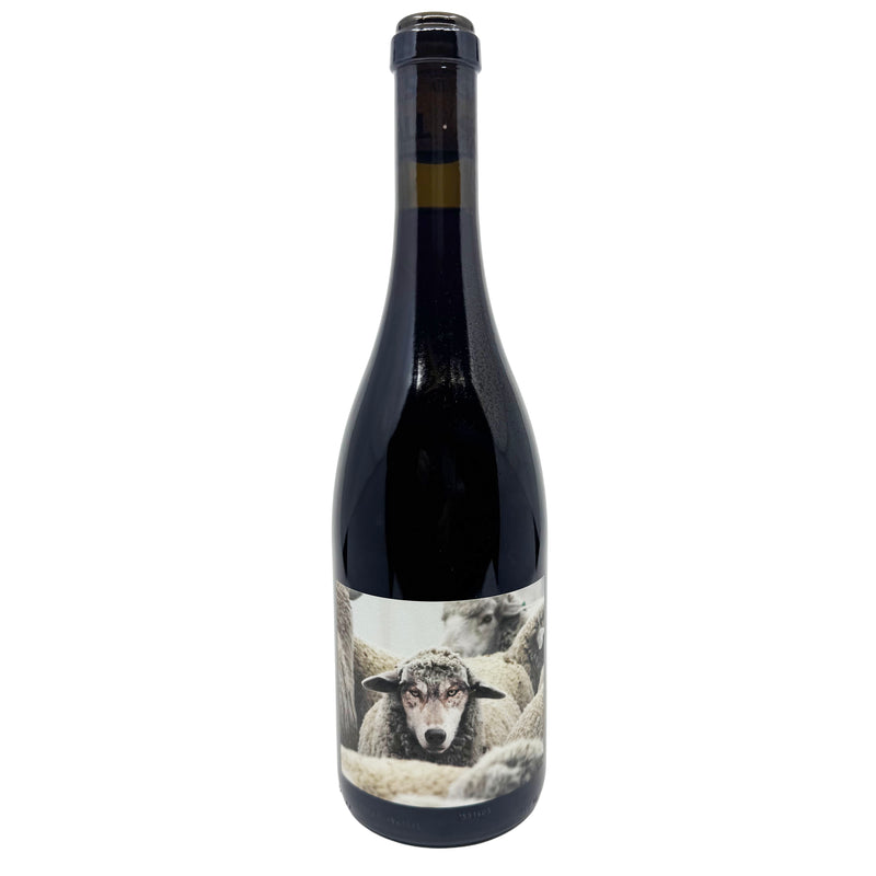 In Sheep's Clothing Pinot Noir 2023