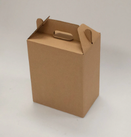 Naylor 6-bottle carrier